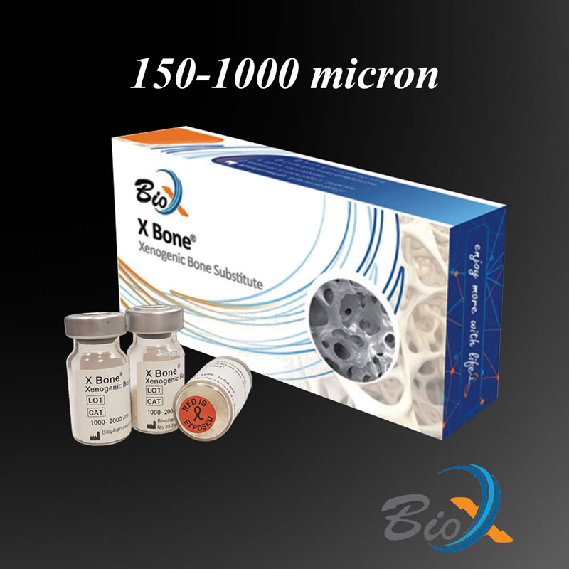 پودر استخوان زنوگرافت 1000-150 میکرون X Bone بایو ایکس