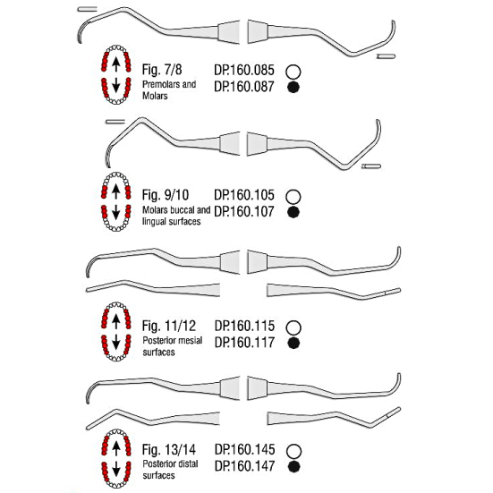 گریسی ساده- فالکن - 2