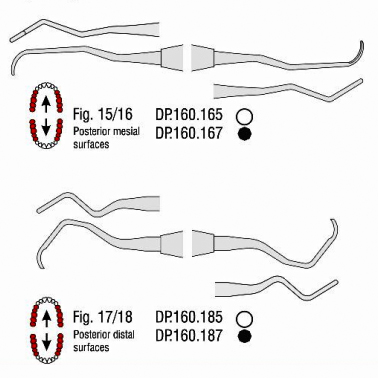 گریسی هالو- فالکن - 3