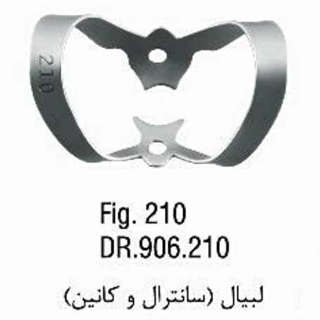 کلمپ لبیال- فالکن