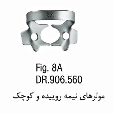 کلمپ مولر نیمه روییده- فالکن