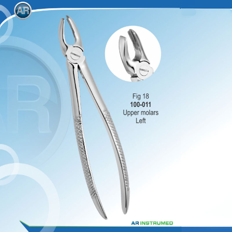 مولار بالا چپ (AR Instrumed)