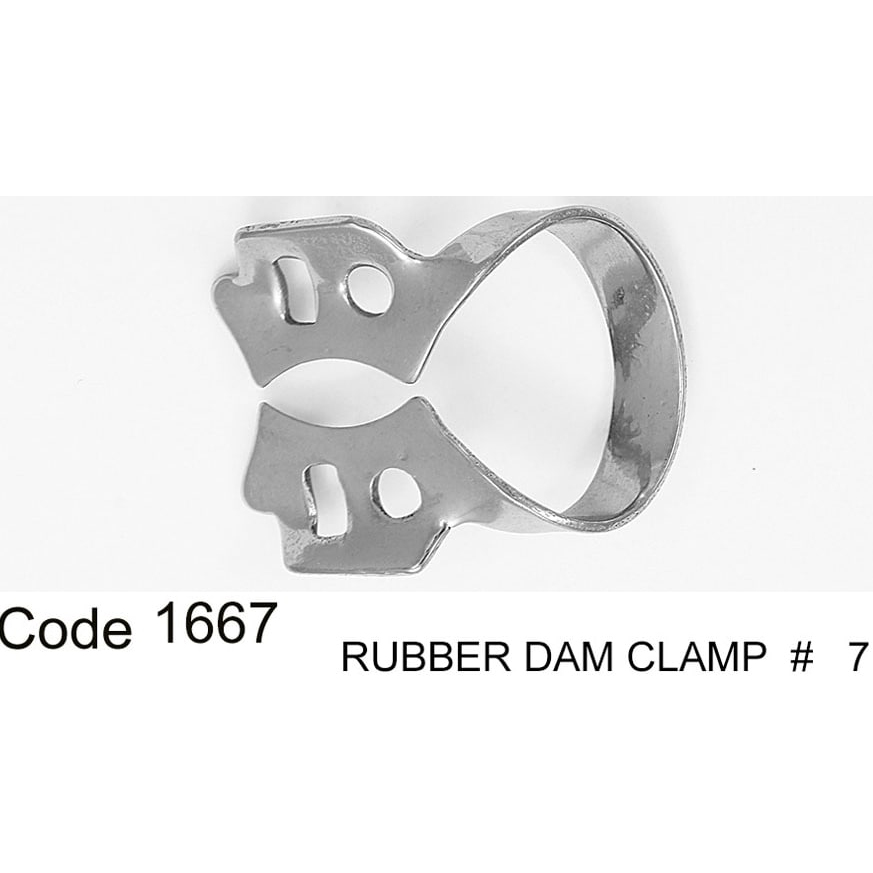 کلمپ مولر پایین- دناپویا