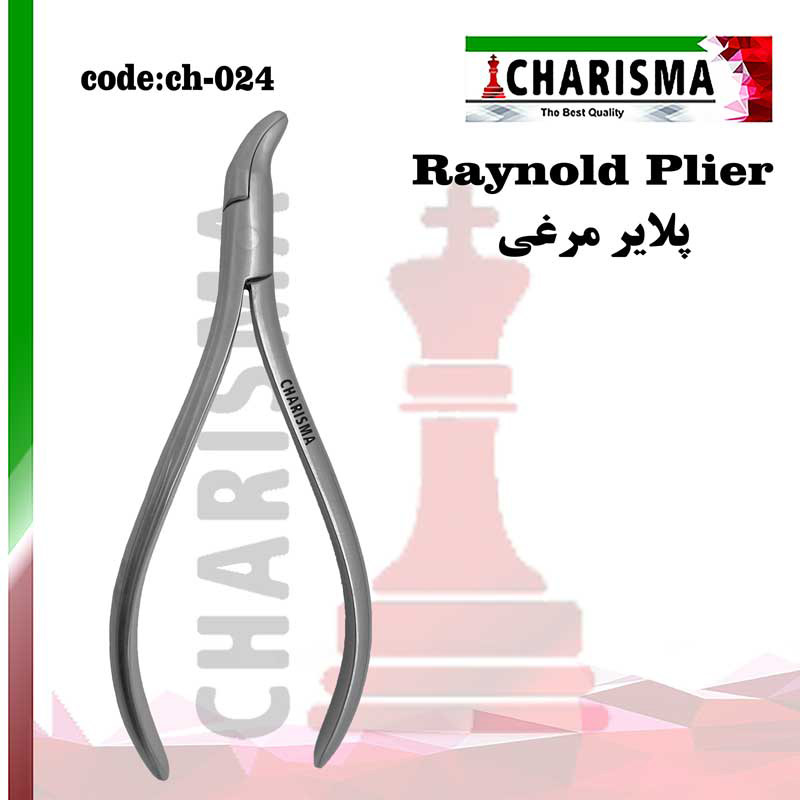 پلایر نوک مرغی -کاریزما