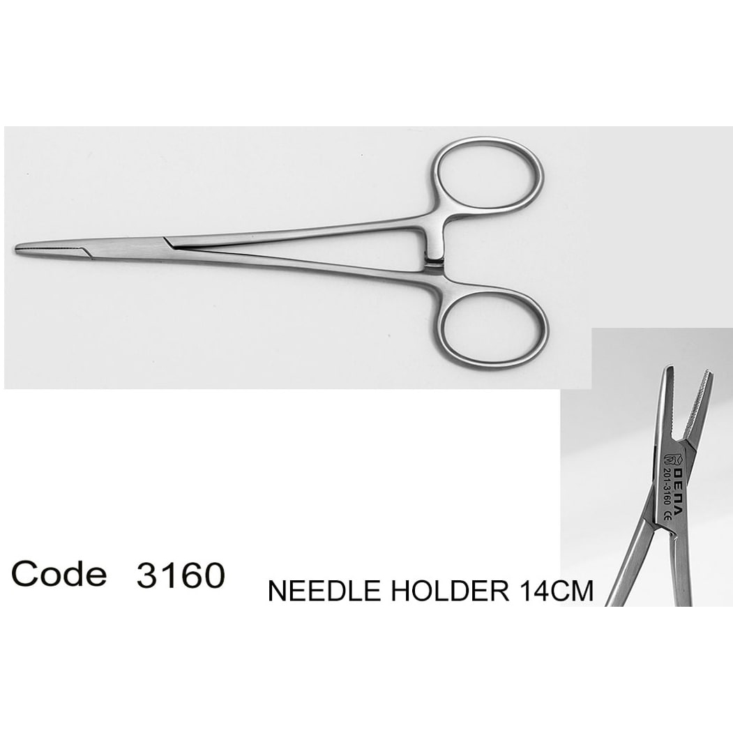 سوزنگیر معمولی- دناپویا