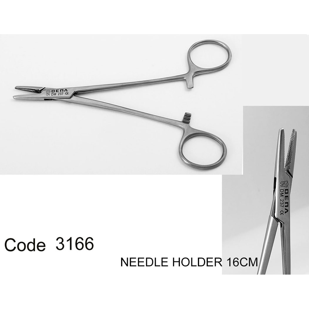 سوزنگیر معمولی- دناپویا