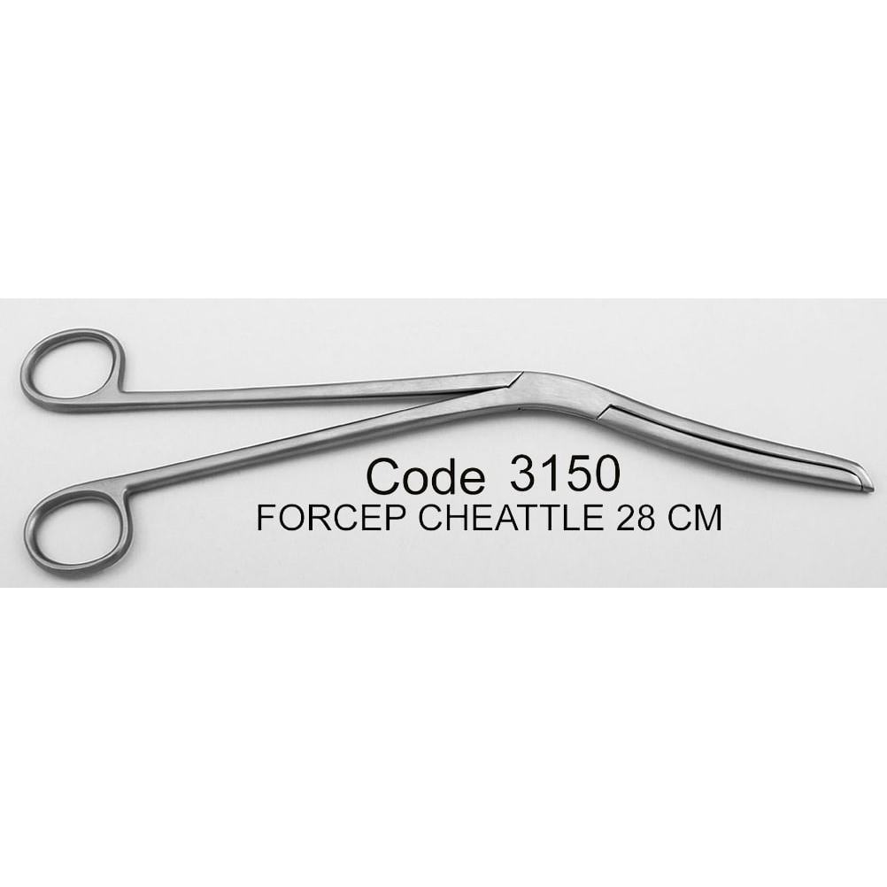 پنس چیتل- دناپویا