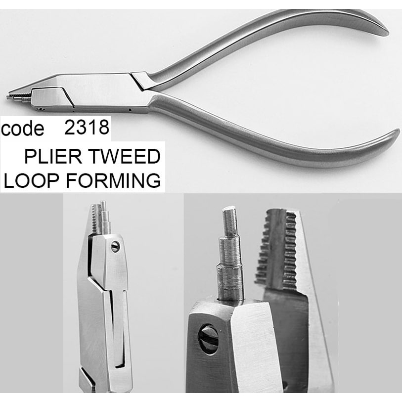 پلایر لوپ فورمینگ- دناپویا