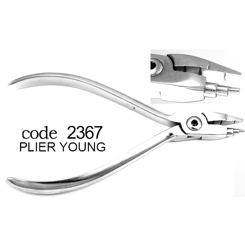 پلایر یانگ- دناپویا