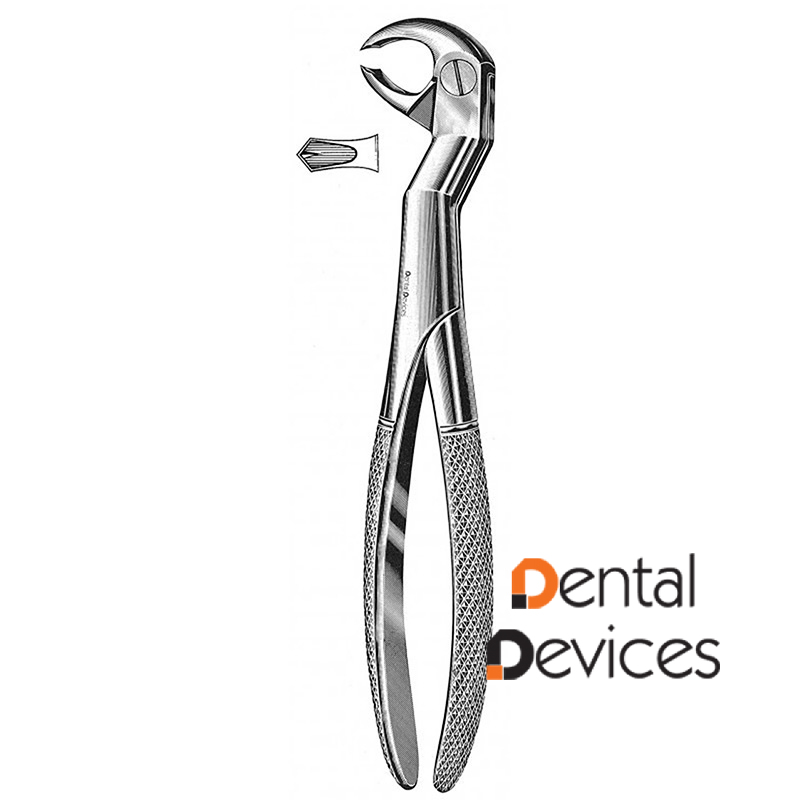 عقل پایین راست زاویه دار- دنتال دیوایس