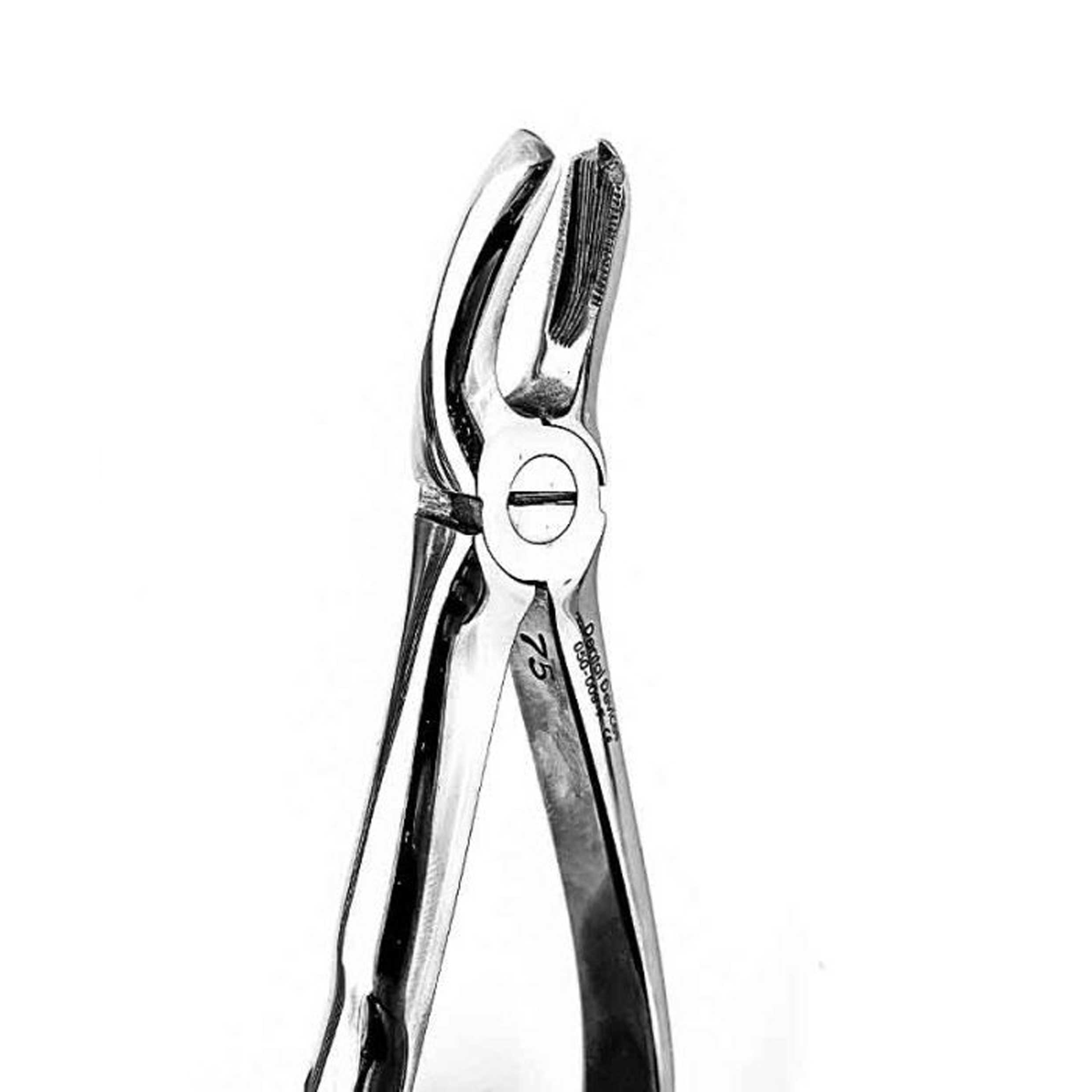 فورسپس آناتومیک فرانسوی مولر بالا چپ (Dental Device) - 2