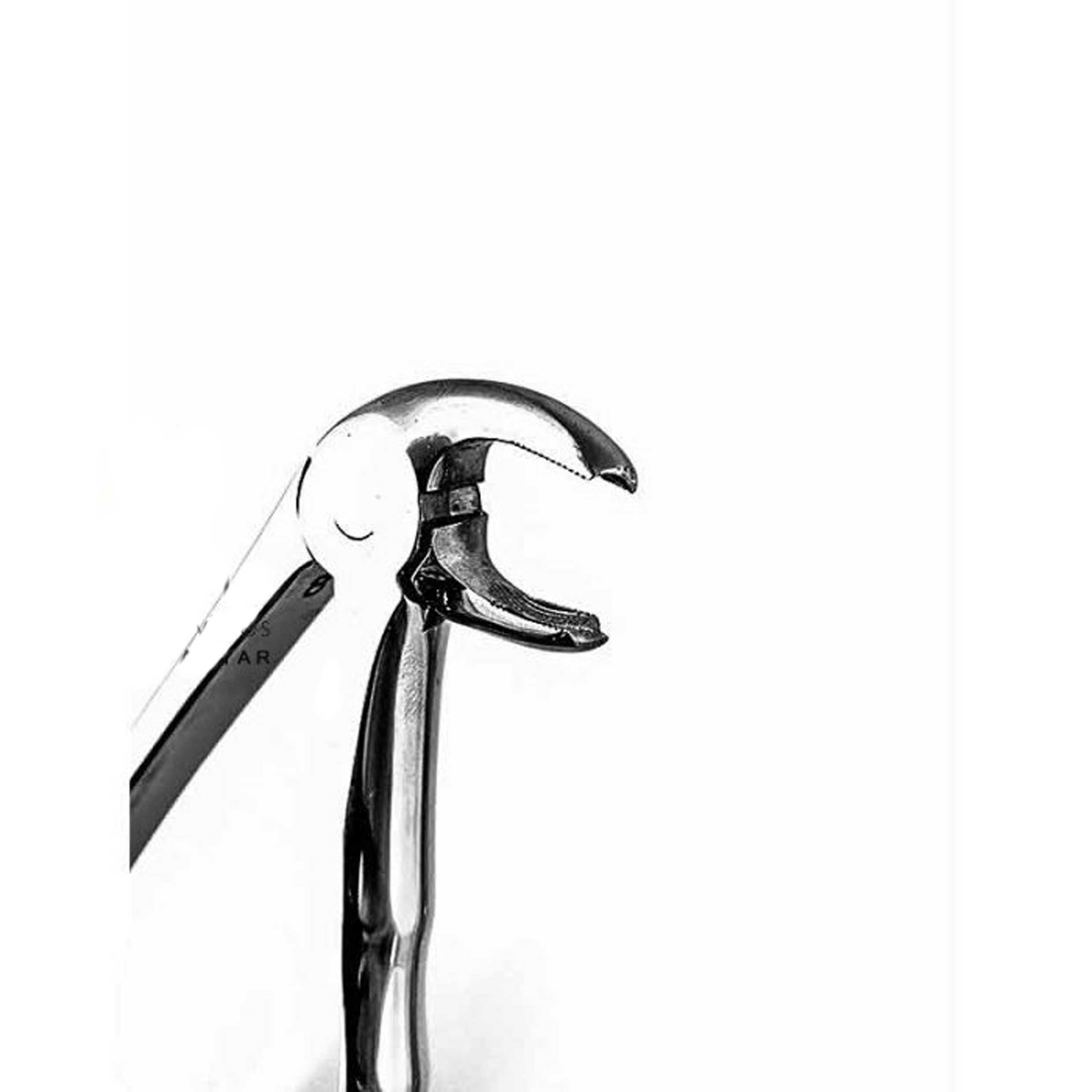 فورسپس آناتومیک فرانسوی مولر پایین (Dental Device) - 2