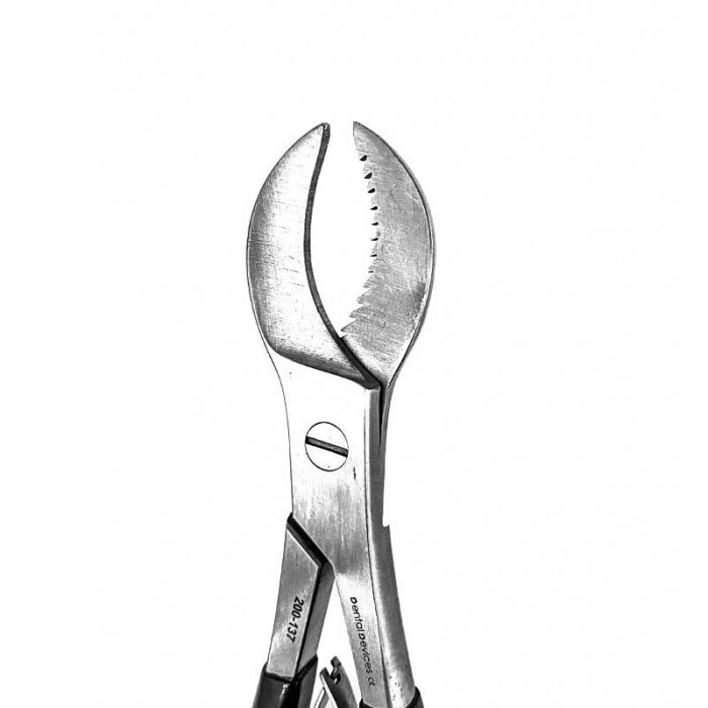 انبر گچ- دنتال دیوایس - 3