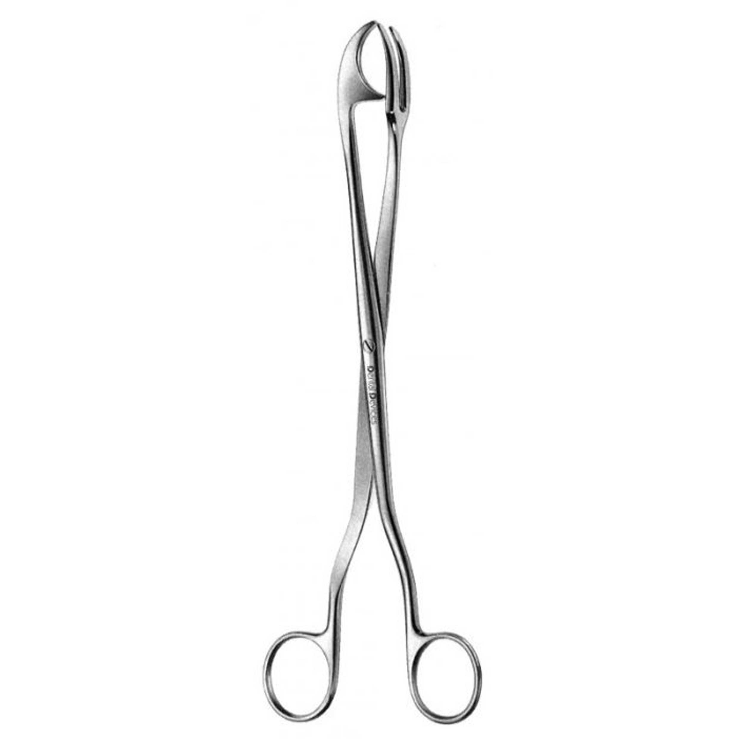 پنس چیتل- دنتال دیوایس - 2