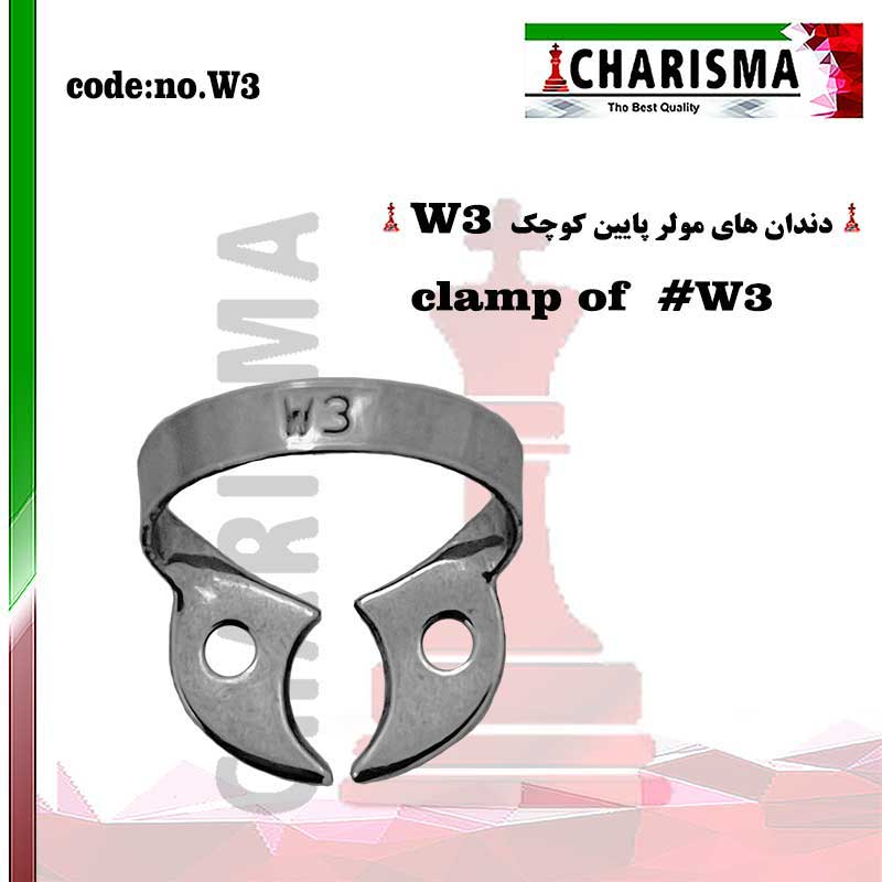 کلمپ- کاریزما - 4