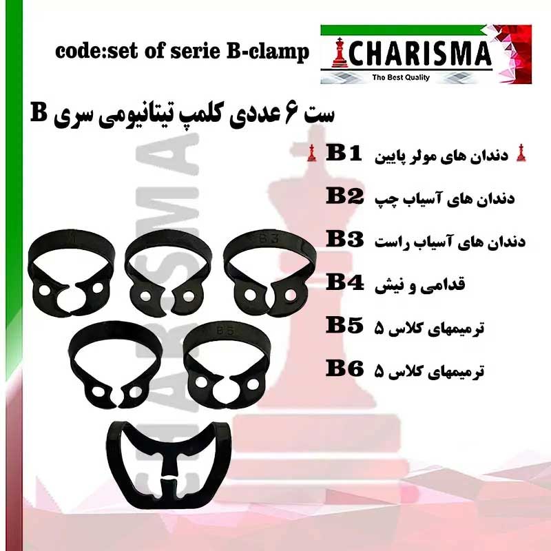 ست کلمپ 6 عددی رنگی Brinker- کاریزما