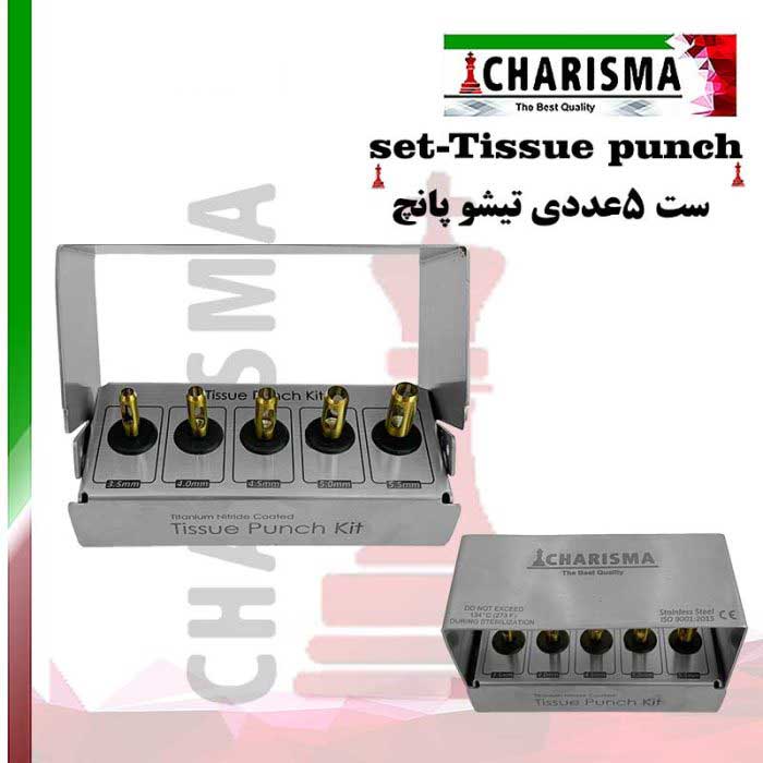 کیت تیشو پانچ- کاریزما