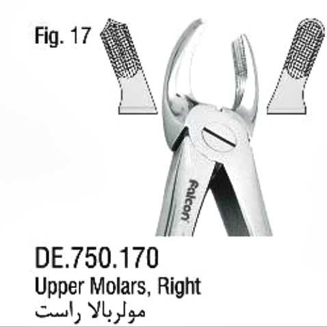 فورسپس ساده مولر بالا راست- فالکن