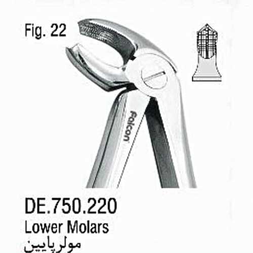 فورسپس ساده مولر پایین- فالکن