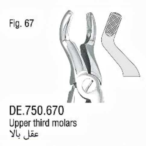 فورسپس ساده عقل بالا- فالکن