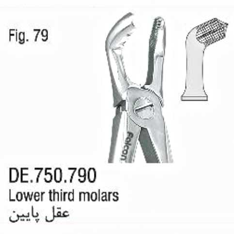 فورسپس ساده عقل پایین- فالکن