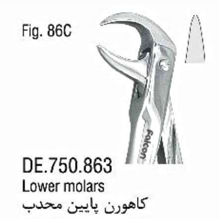 فورسپس ساده بزرگسال کاهورن پایین محدب- فالکن