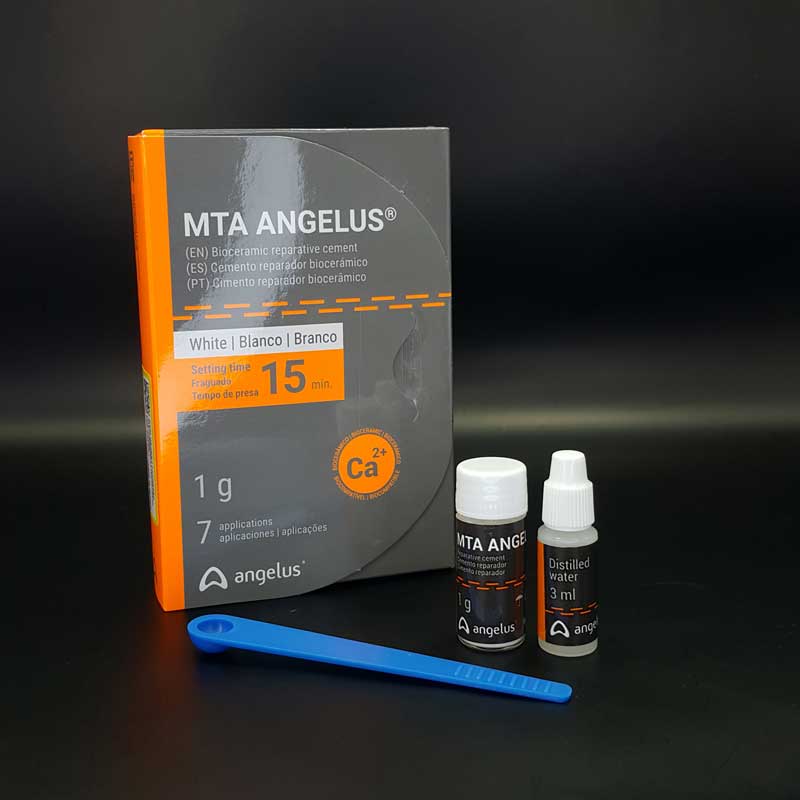 ام تی ای آنجلوس