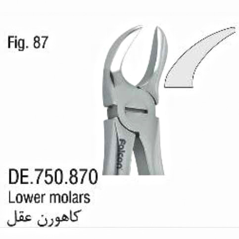 فورسپس ساده کاهورن عقل- فالکن