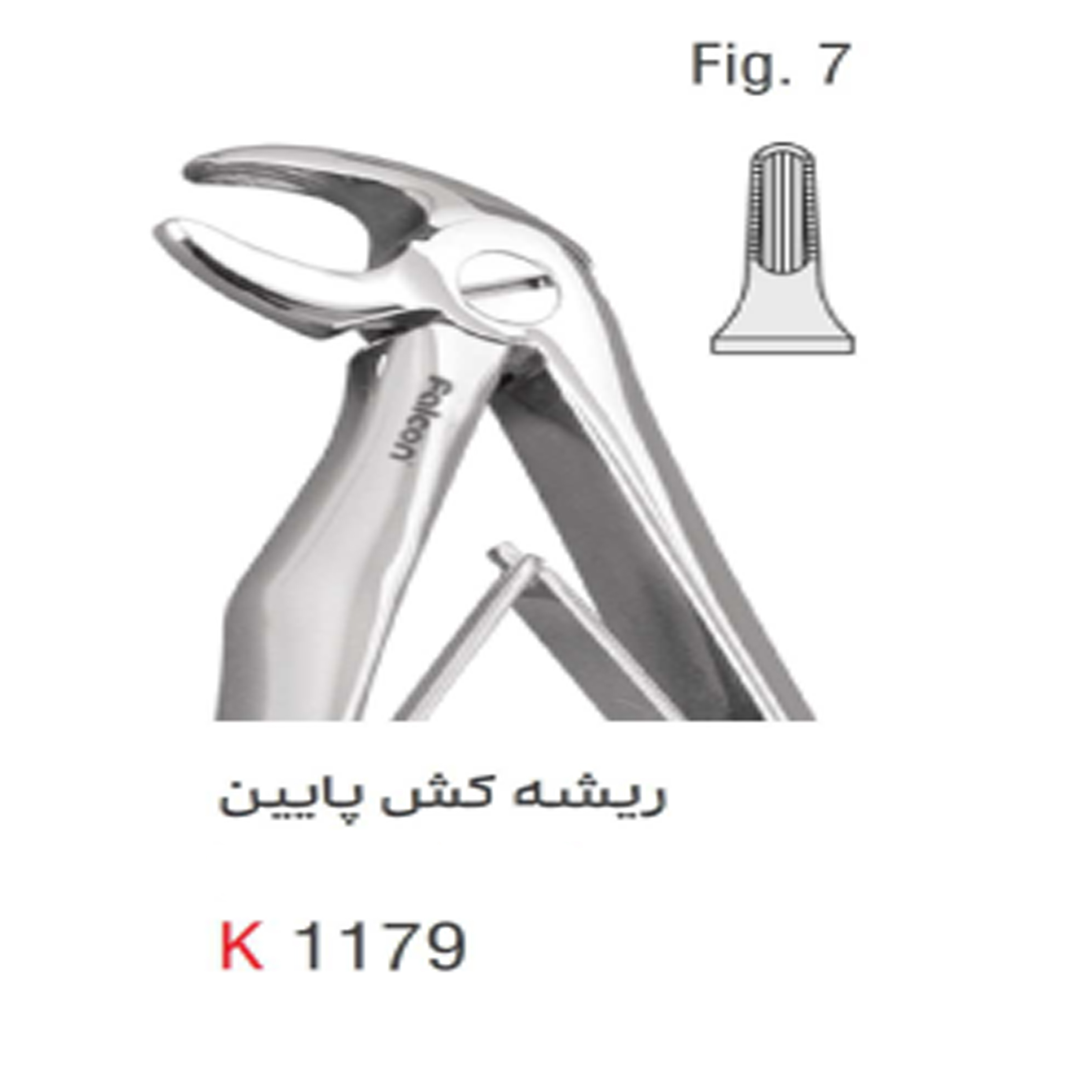 فورسپس اطفال فنردار ریشه کش پایین (Kousha)