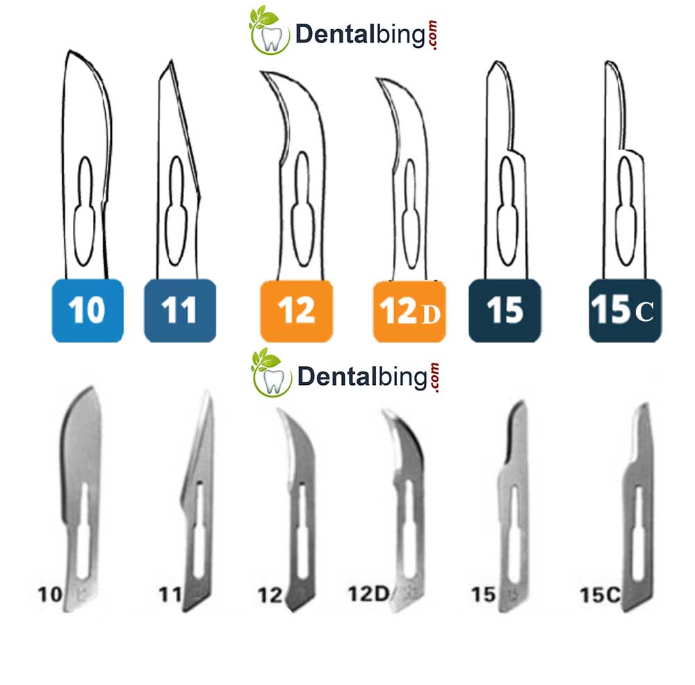 تیغ بیستوری چینی موریس - 2