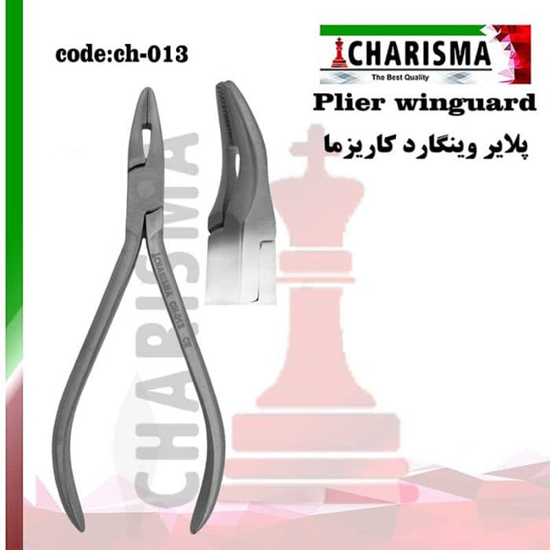 پلایر وین گارد -کاریزما