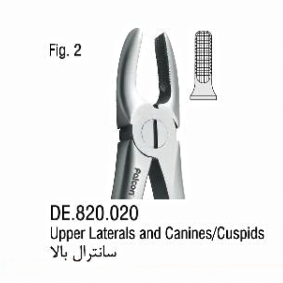 فورسپس آناتومیک سانترال بالا- فالکن