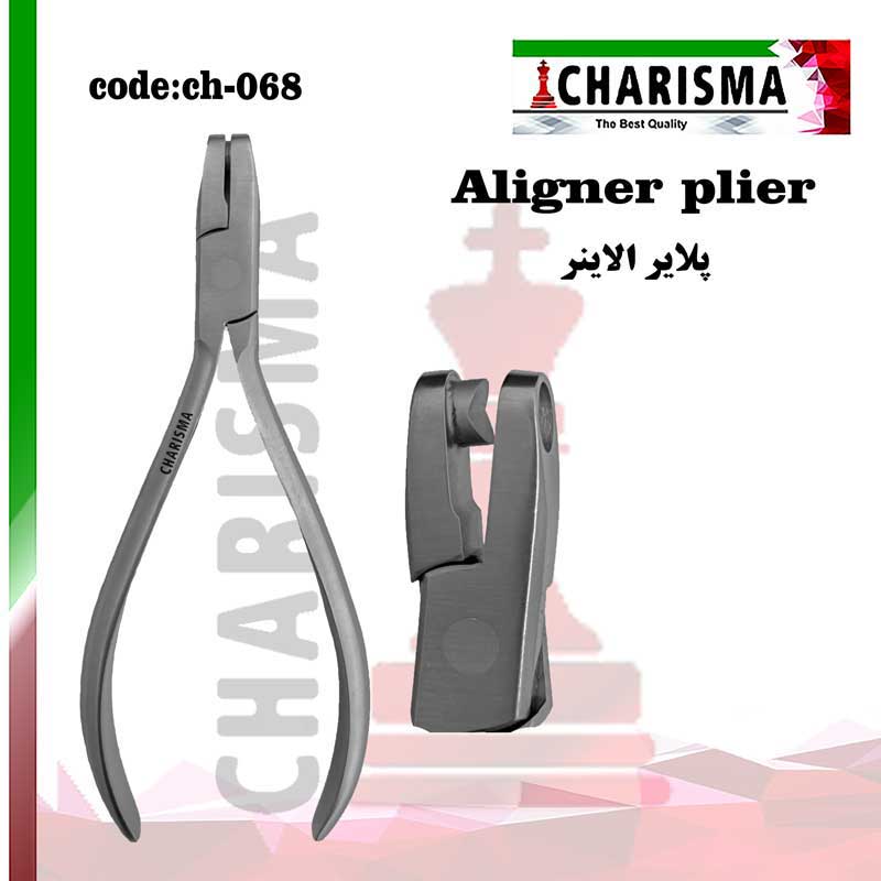 پلایر الاینر -کاریزما