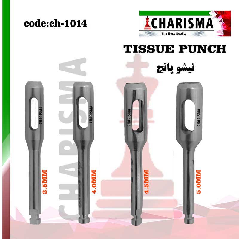 تیشو پانچ تکی -کاریزما