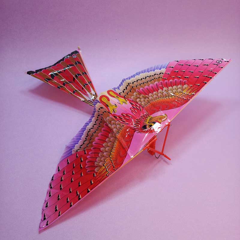 هواپیما ساختنی عقاب - 2