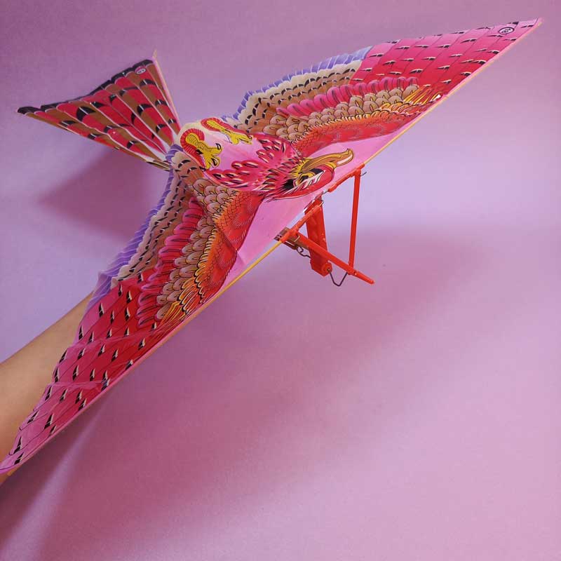 هواپیما ساختنی عقاب - 3