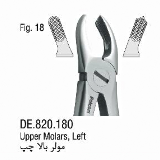 فورسپس آناتومیک مولر بالا چپ- فالکن