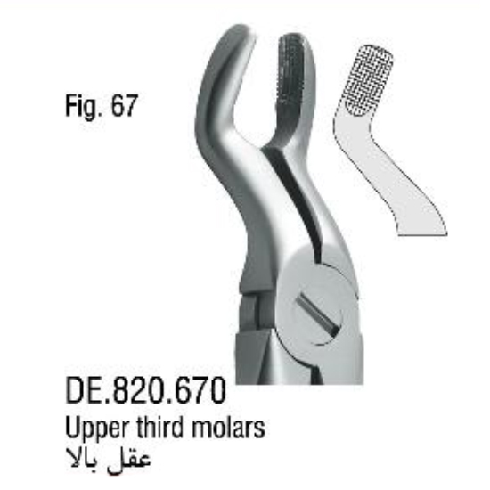 فورسپس آناتومیک عقل بالا- فالکن