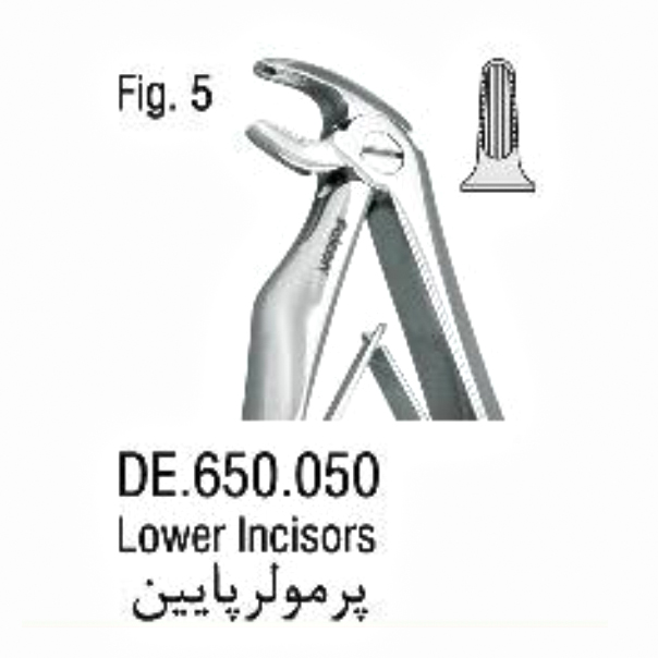 فورسپس اطفال فنردار پرمولر پایین- فالکن