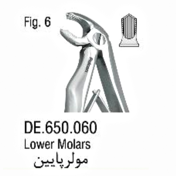 فورسپس اطفال فنردار مولر پایین- فالکن