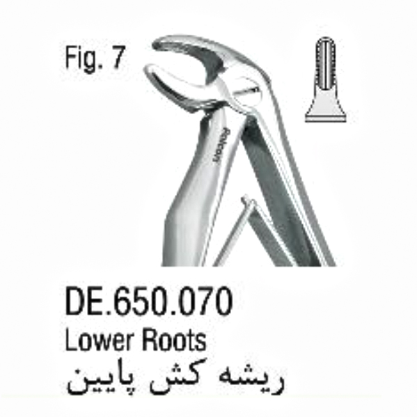 فورسپس اطفال فنردار ریشه کش پایین- فالکن