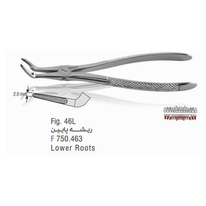 فورسپس ساده ریشه کش پایین نازک