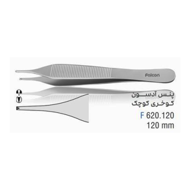 پنس آدسون کوخری- فالکن