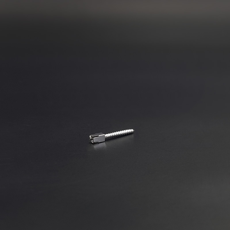 پین داخل کانال تیتانیوم لاستردنت - 2