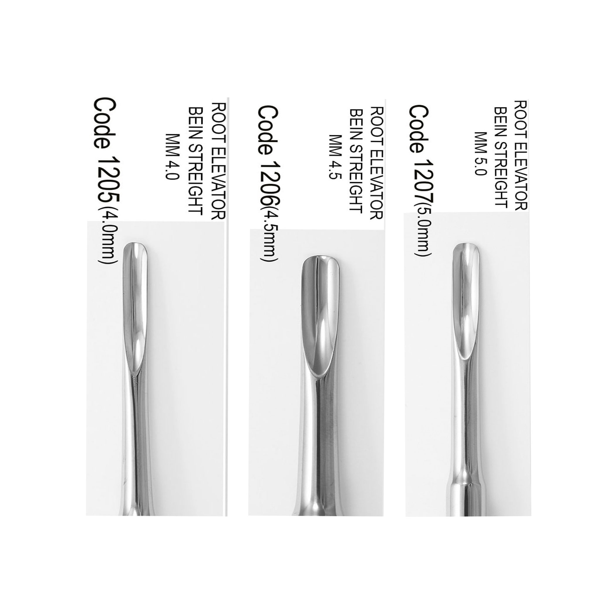 الواتور مستقیم- دناپویا - 3