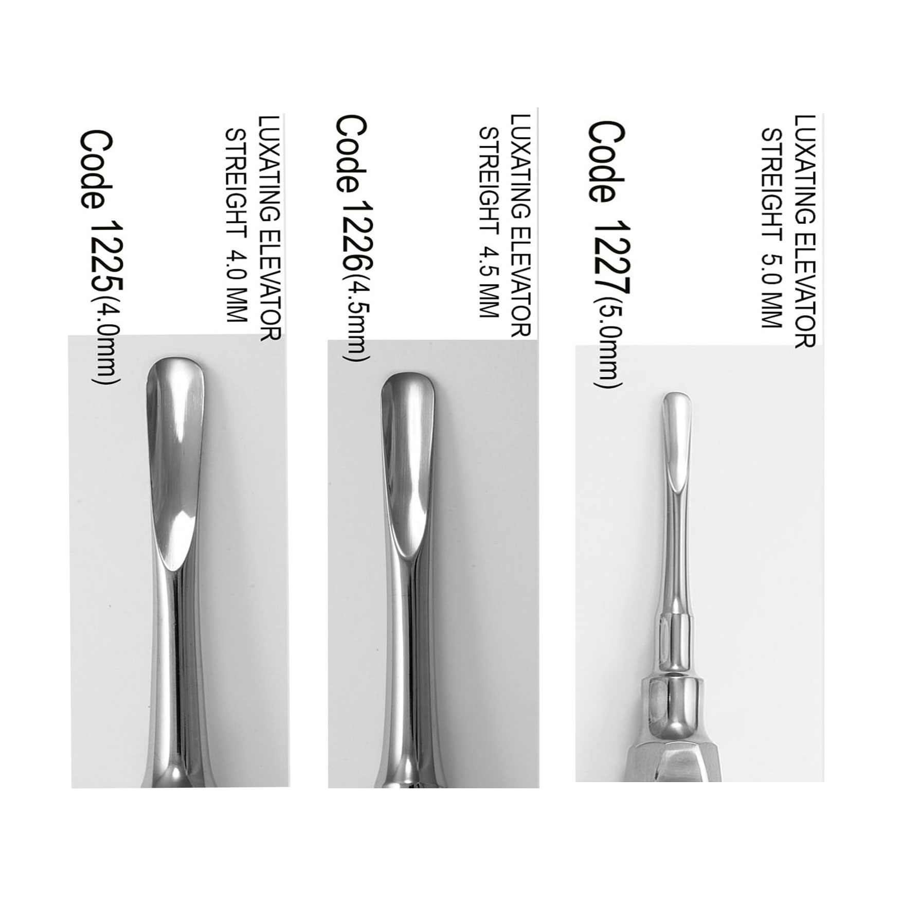 الواتور مستقیم- دناپویا - 5