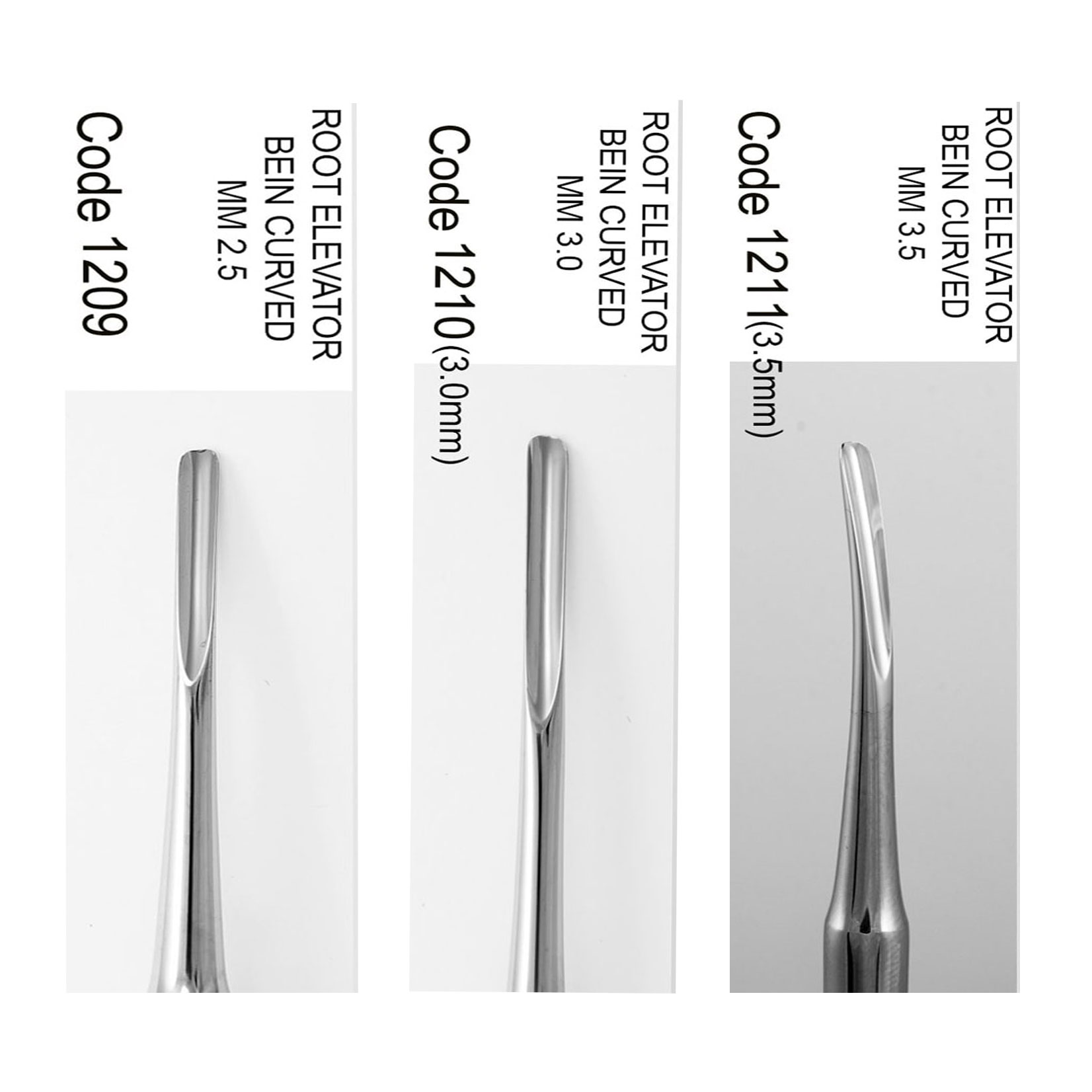 الواتور پاشنه ای- دناپویا