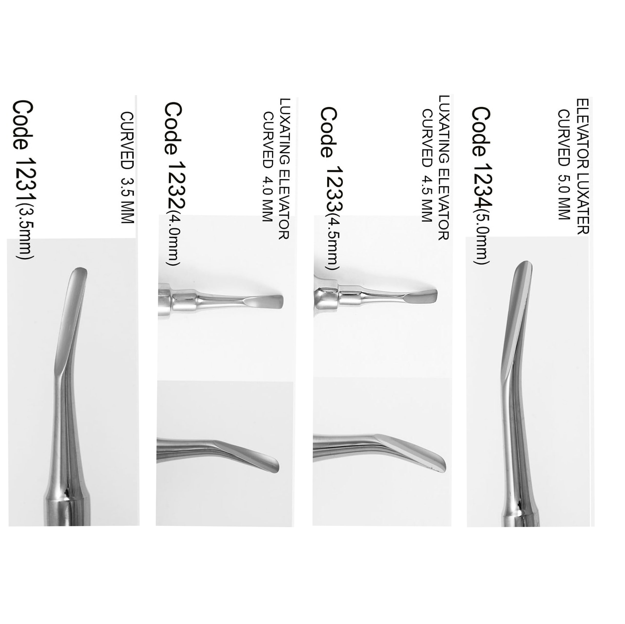 الواتور پاشنه ای- دناپویا - 4