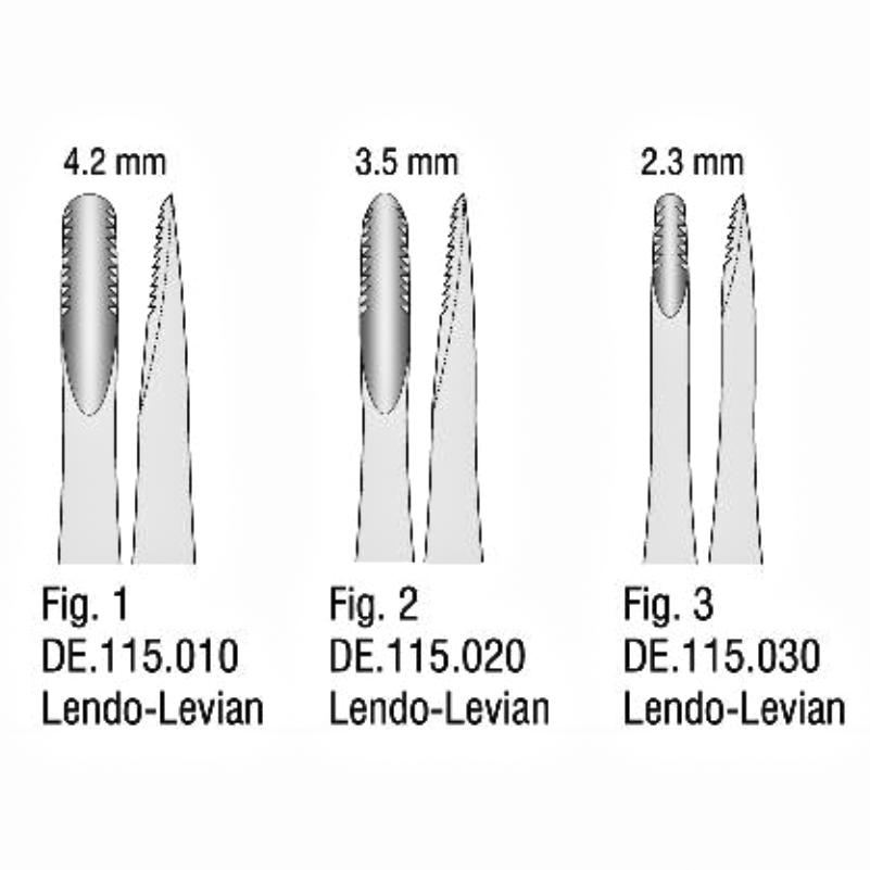 الواتور دندانه دار (Lindo-Levian)- فالکن