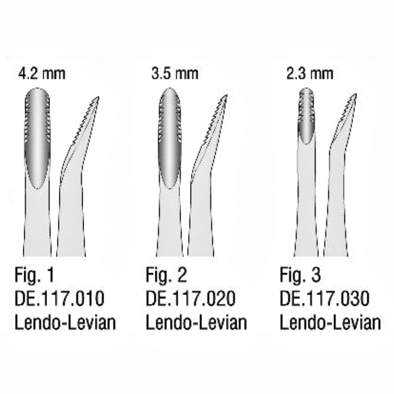 الواتور دندانه دار (Lindo-Levian)- فالکن - 2